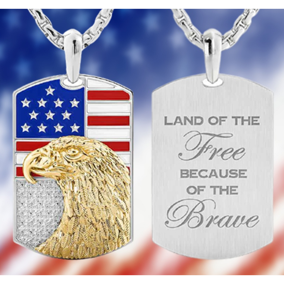 American Eagle Dog Tag Necklace